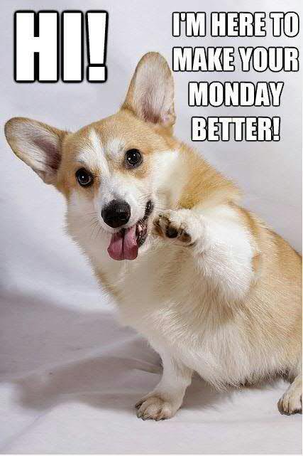 Bildergebnis für Happy Monday with dogs